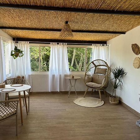 Studio 2 Avignon Luaran gambar
